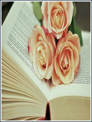 Bìa sách 4 Co Con Gai Nha Bac Sy March Louisa May Alcott