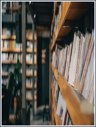 Bìa sách Hoa Ngọc Lan Năm Hương