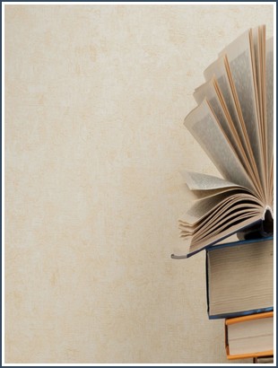 Bìa sách Speaker File