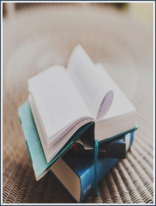 Bìa sách Thú Quyển Rừ Đoàn Chuẩn Tư Linh