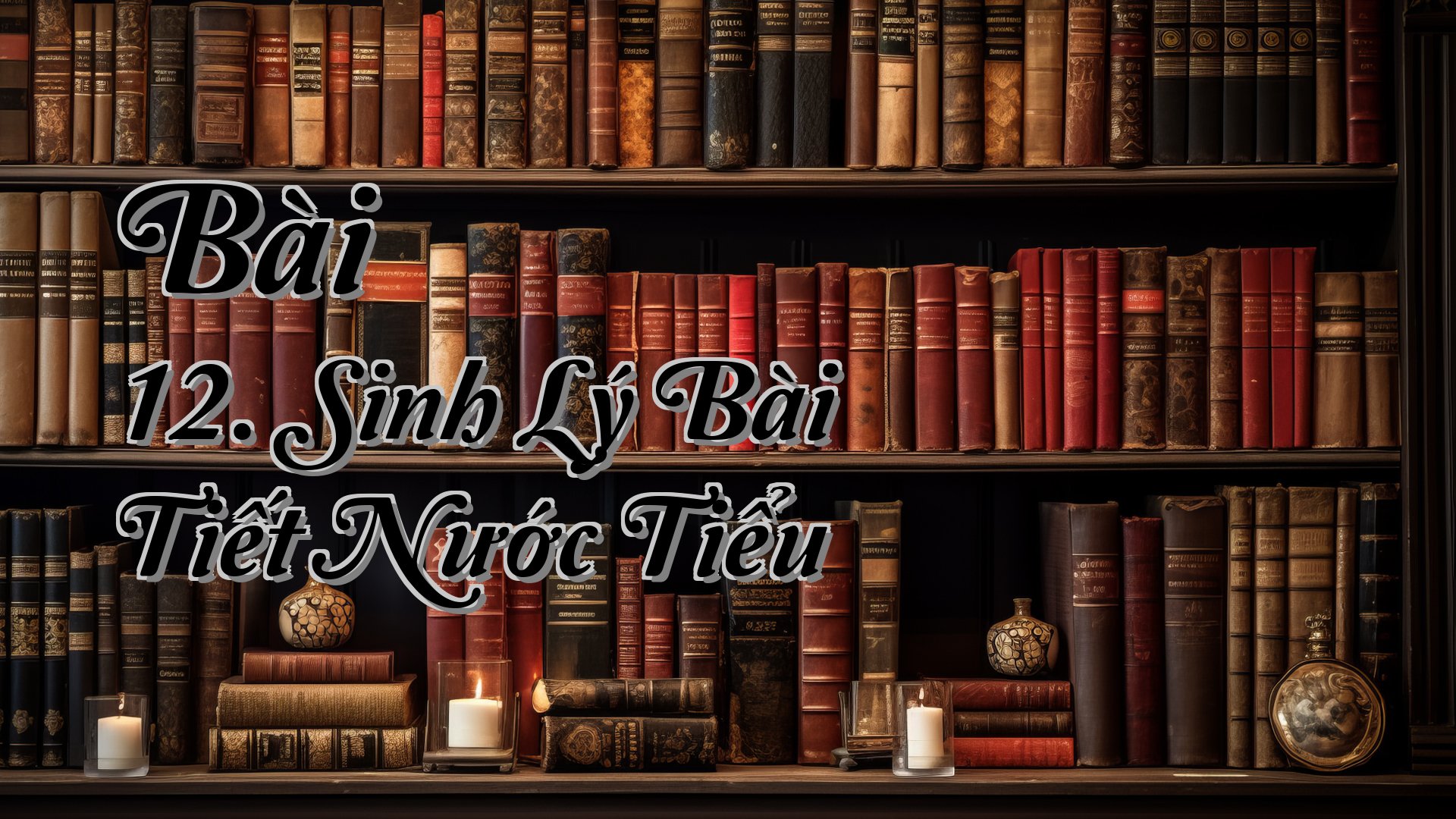 cover-Bài 12. Sinh Lý Bài Tiết Nước Tiểu