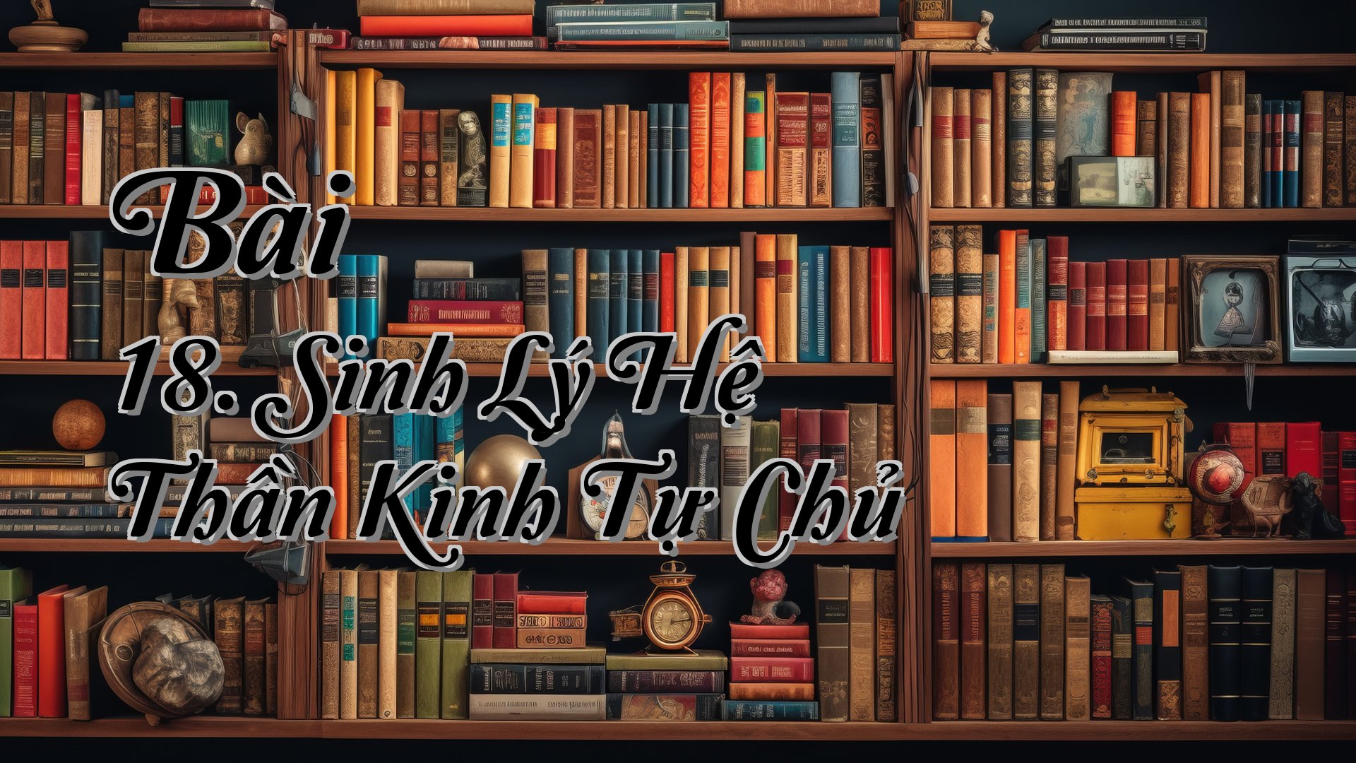 cover-Bài 18. Sinh Lý Hệ Thần Kinh Tự Chủ