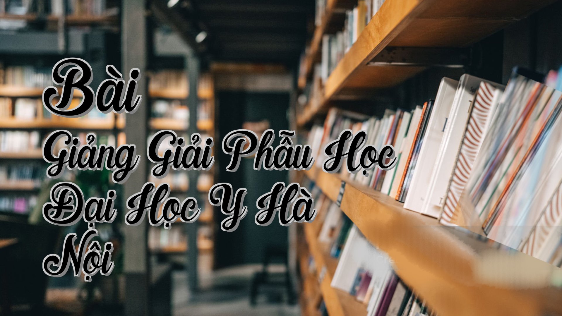 cover-Bài Giảng Giải Phẫu Học Đại Học Y Hà Nội
