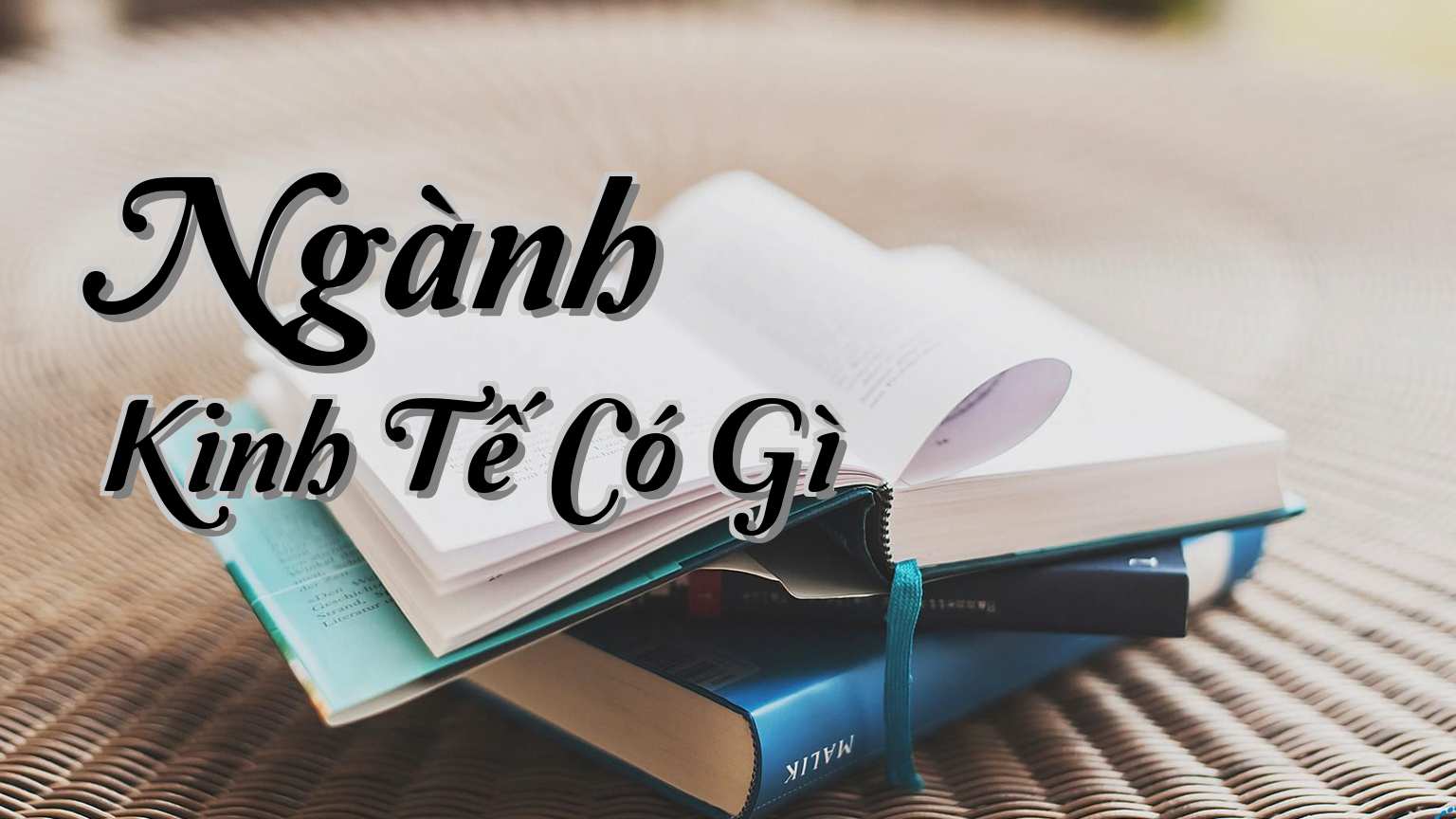 cover-Ngành Kinh Tế Có Gì