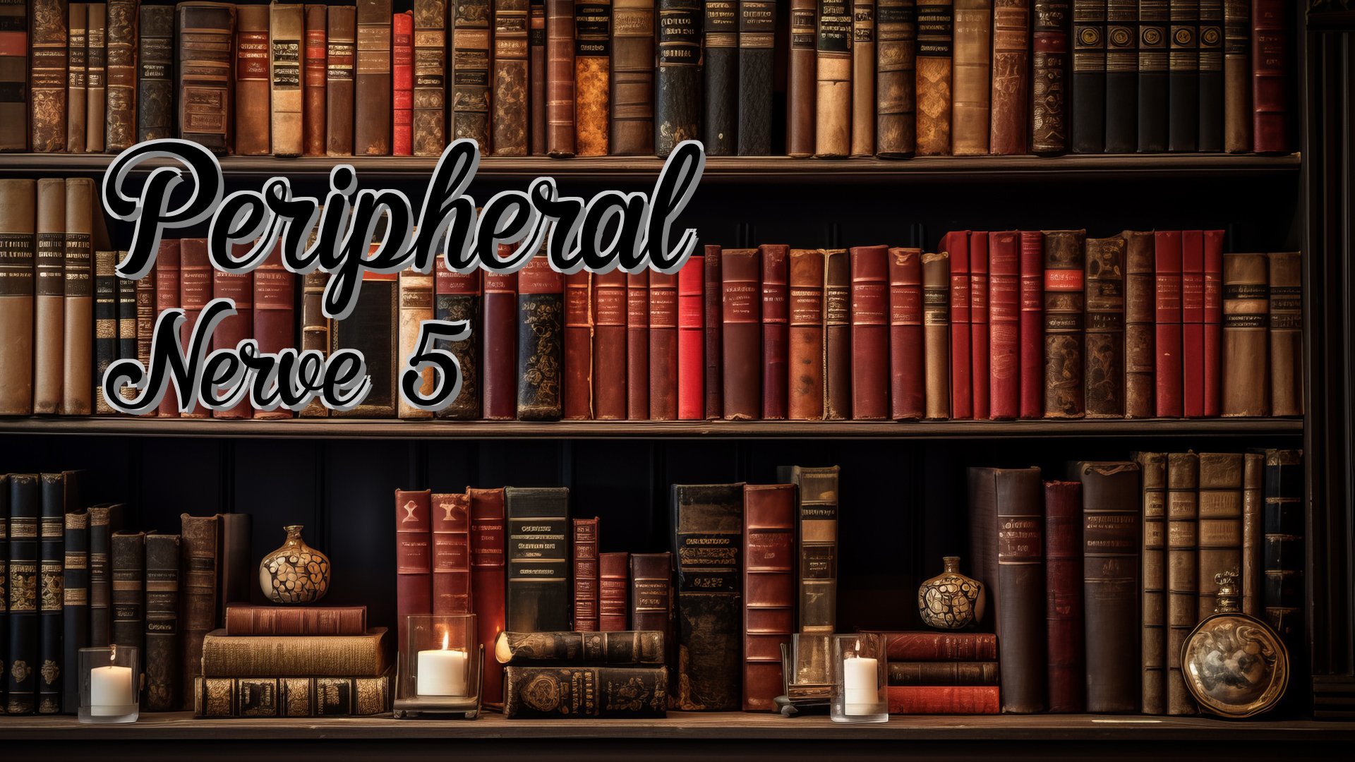 cover-Peripheral Nerve 5