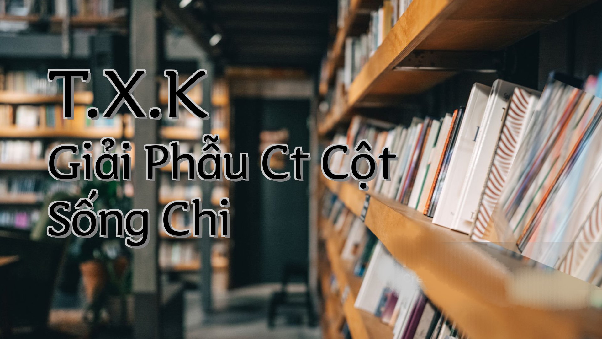 cover-T.X.K Giải Phẫu Ct Cột Sống Chi