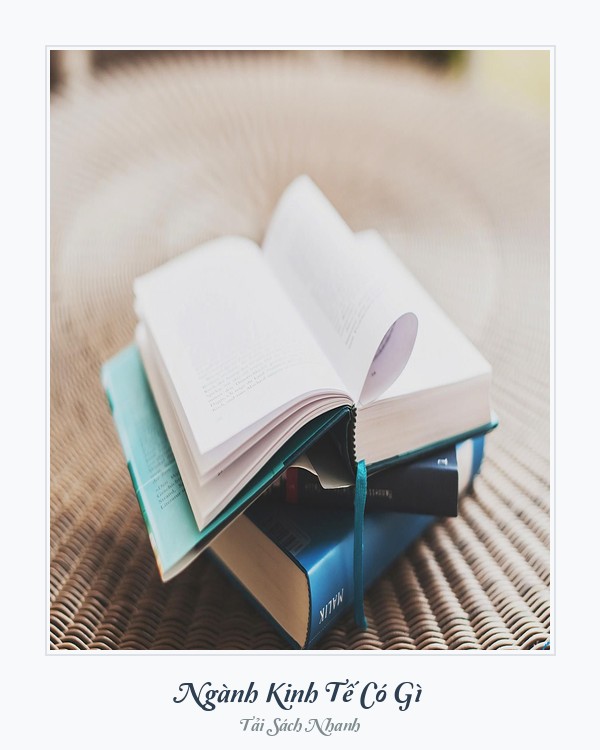 Bìa sách Ngành Kinh Tế Có Gì