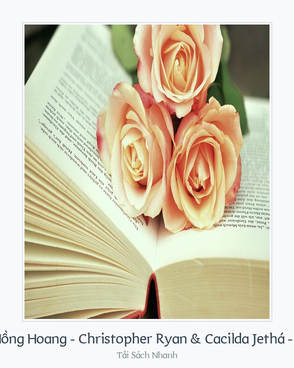Bìa sách Tình Dục Thuở Hồng Hoang - Christopher Ryan & Cacilda Jethá - Lê Khánh Toàn (
