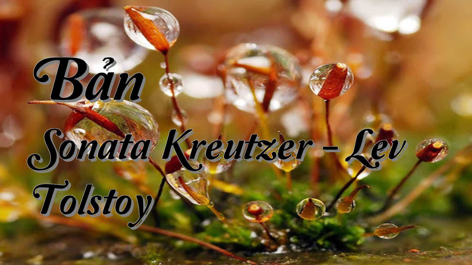 cover-Bản Sonata Kreutzer - Lev Tolstoy