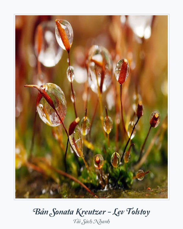 Bìa sách Bản Sonata Kreutzer - Lev Tolstoy
