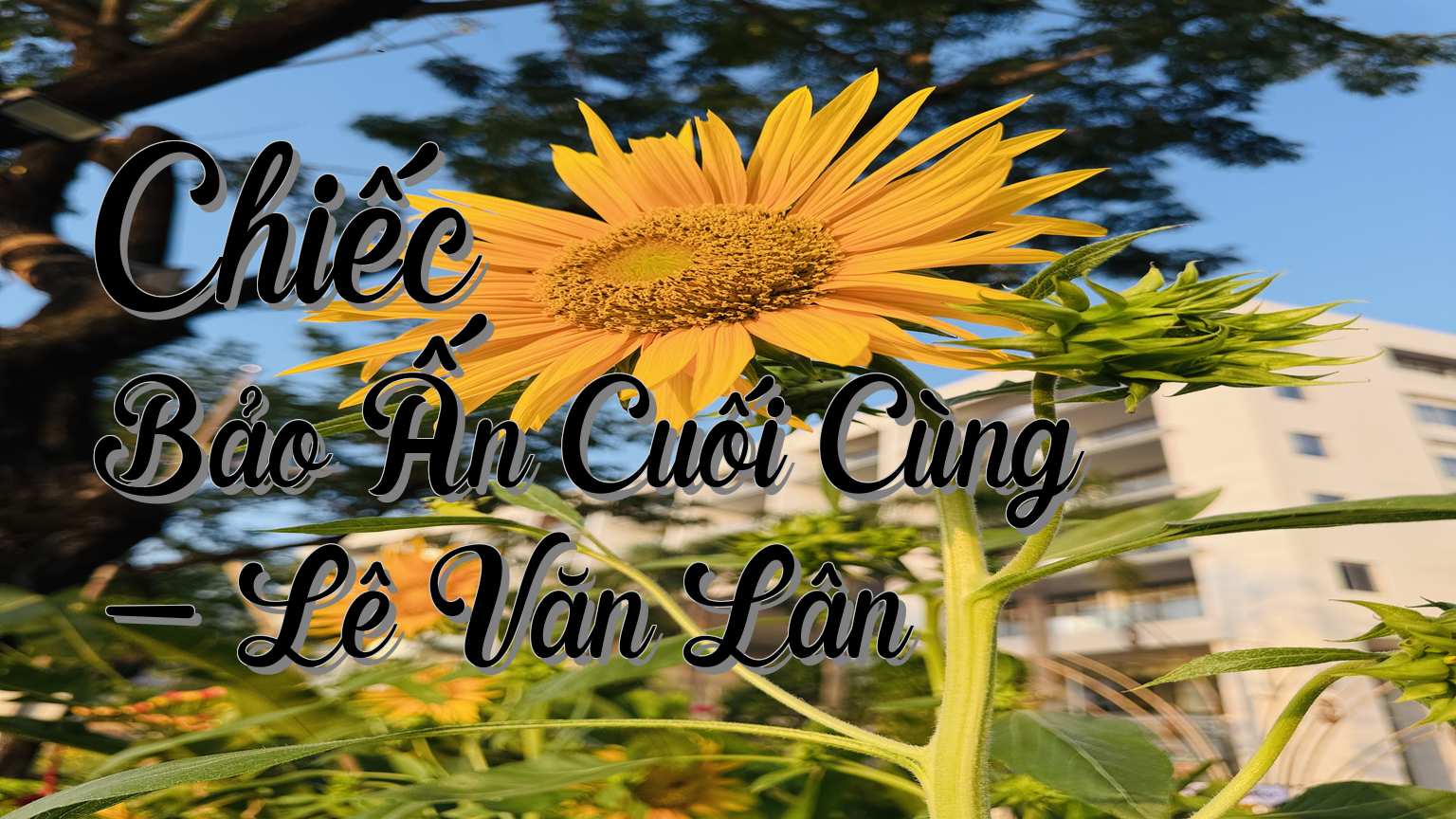 cover-Chiếc Bảo Ấn Cuối Cùng - Lê Văn Lân