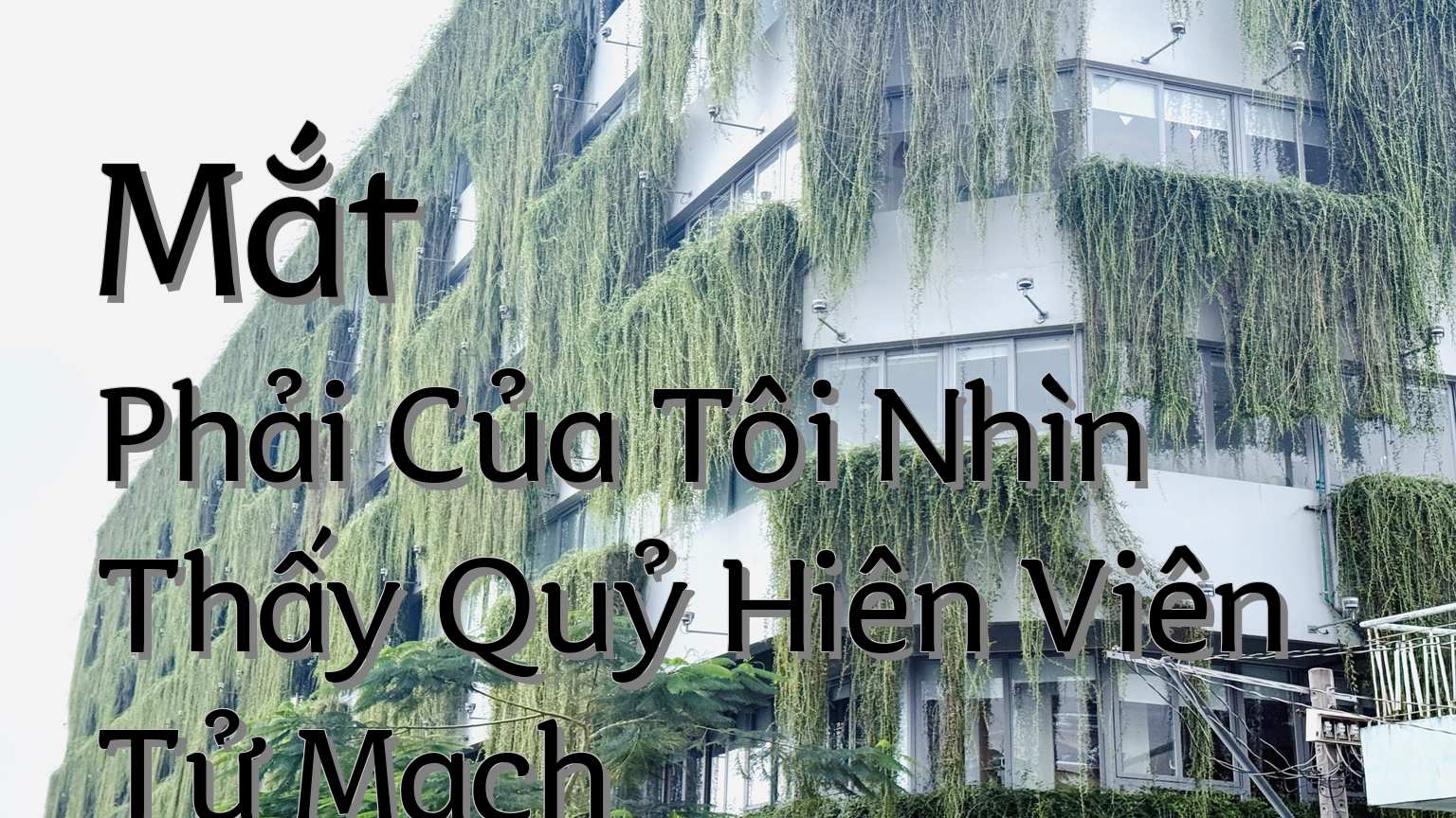 cover-Mắt Phải Của Tôi Nhìn Thấy Quỷ Hiên Viên Tử Mạch