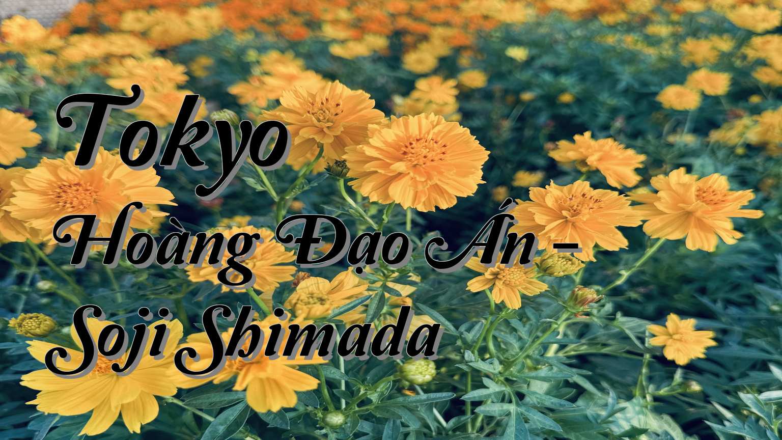 cover-Tokyo Hoàng Đạo Án - Soji Shimada