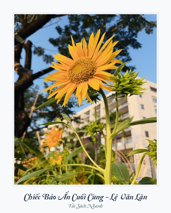 Bìa sách Chiếc Bảo Ấn Cuối Cùng - Lê Văn Lân