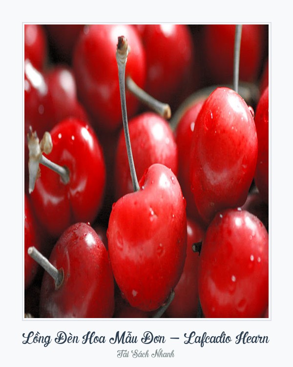 Bìa sách Lồng Đèn Hoa Mẫu Đơn - Lafcadio Hearn