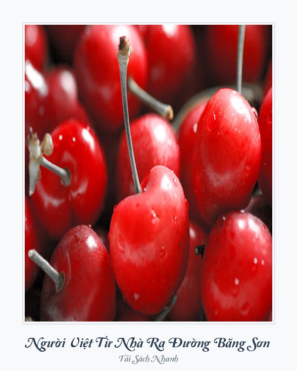 Bìa sách Người Việt Từ Nhà Ra Đường Băng Sơn