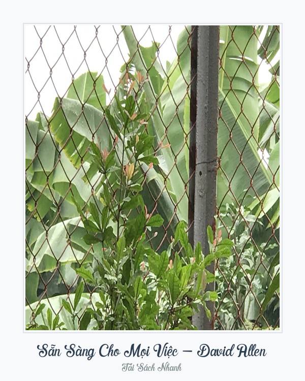 Bìa sách Sẵn Sàng Cho Mọi Việc - David Allen