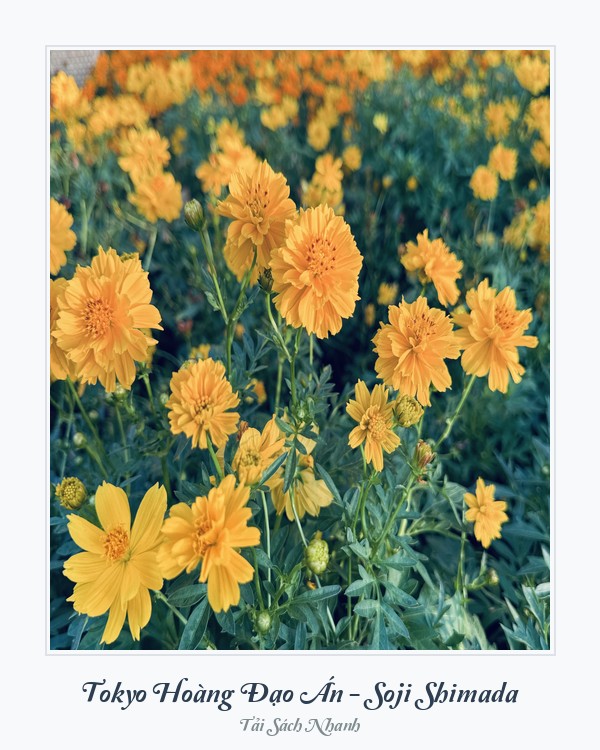 Bìa sách Tokyo Hoàng Đạo Án - Soji Shimada