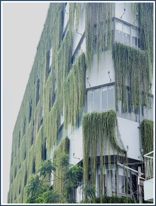 Bìa sách Mắt Phải Của Tôi Nhìn Thấy Quỷ Hiên Viên Tử Mạch