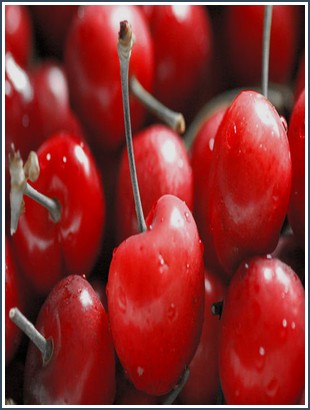 Bìa sách Người Việt Từ Nhà Ra Đường Băng Sơn