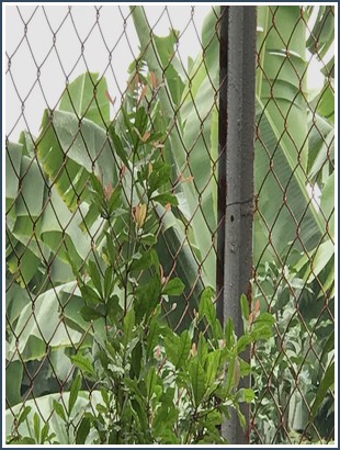 Bìa sách Sẵn Sàng Cho Mọi Việc - David Allen