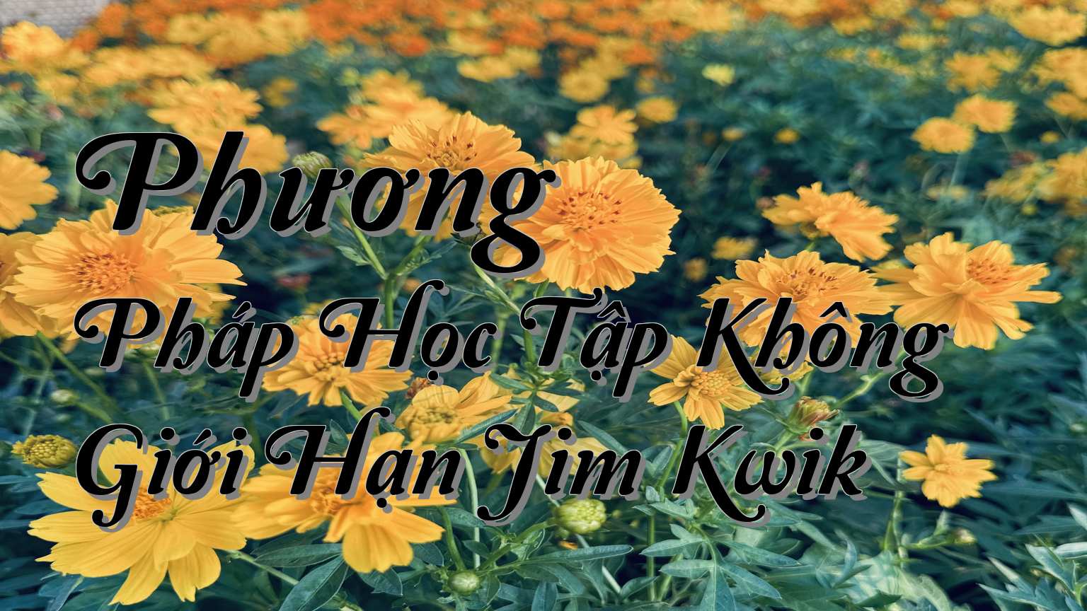 cover-Phương Pháp Học Tập Không Giới Hạn Jim Kwik