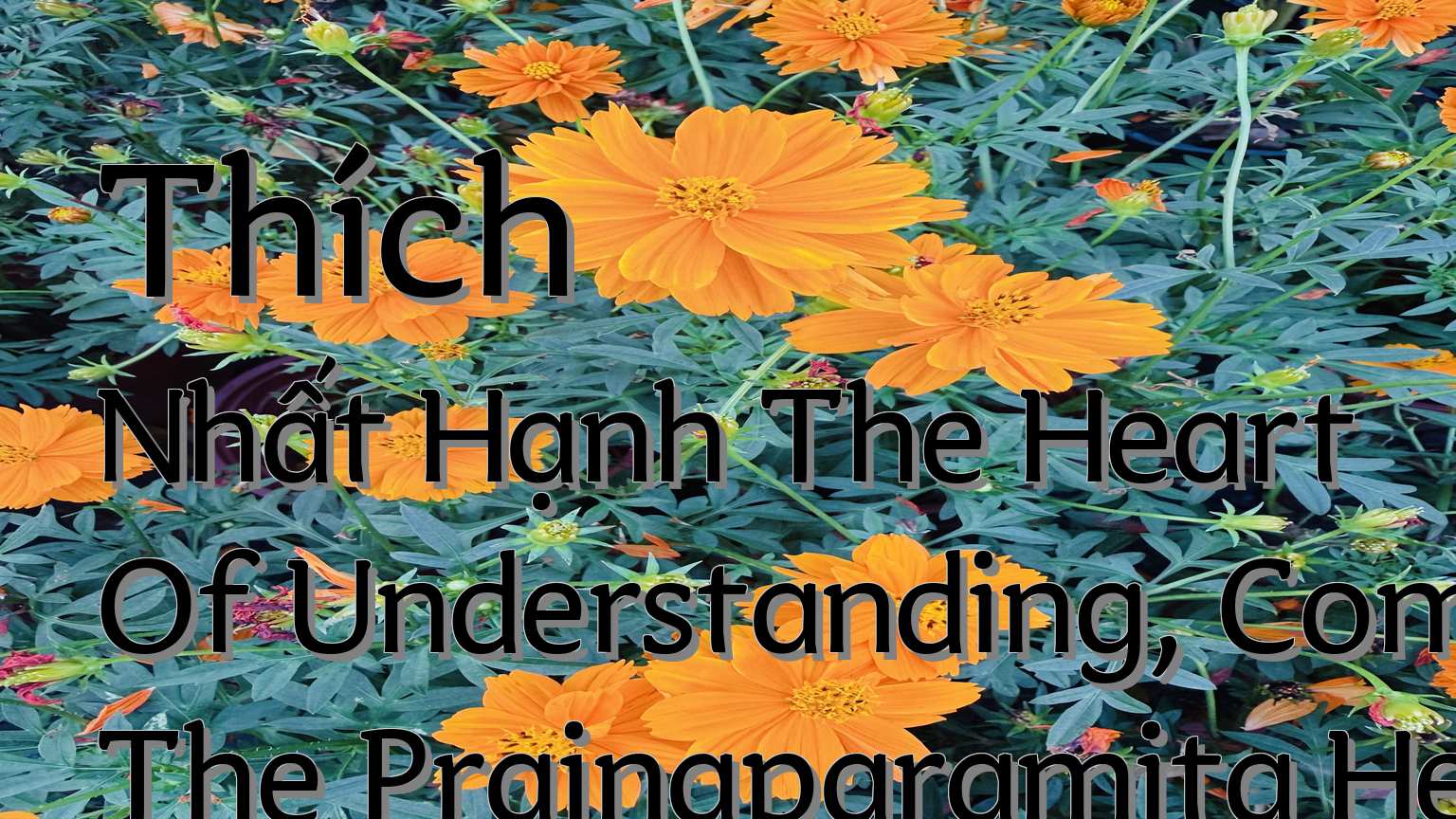 cover-Thích Nhất Hạnh The Heart Of Understanding, Commentaries On The Prajnaparamita Heart Sutra