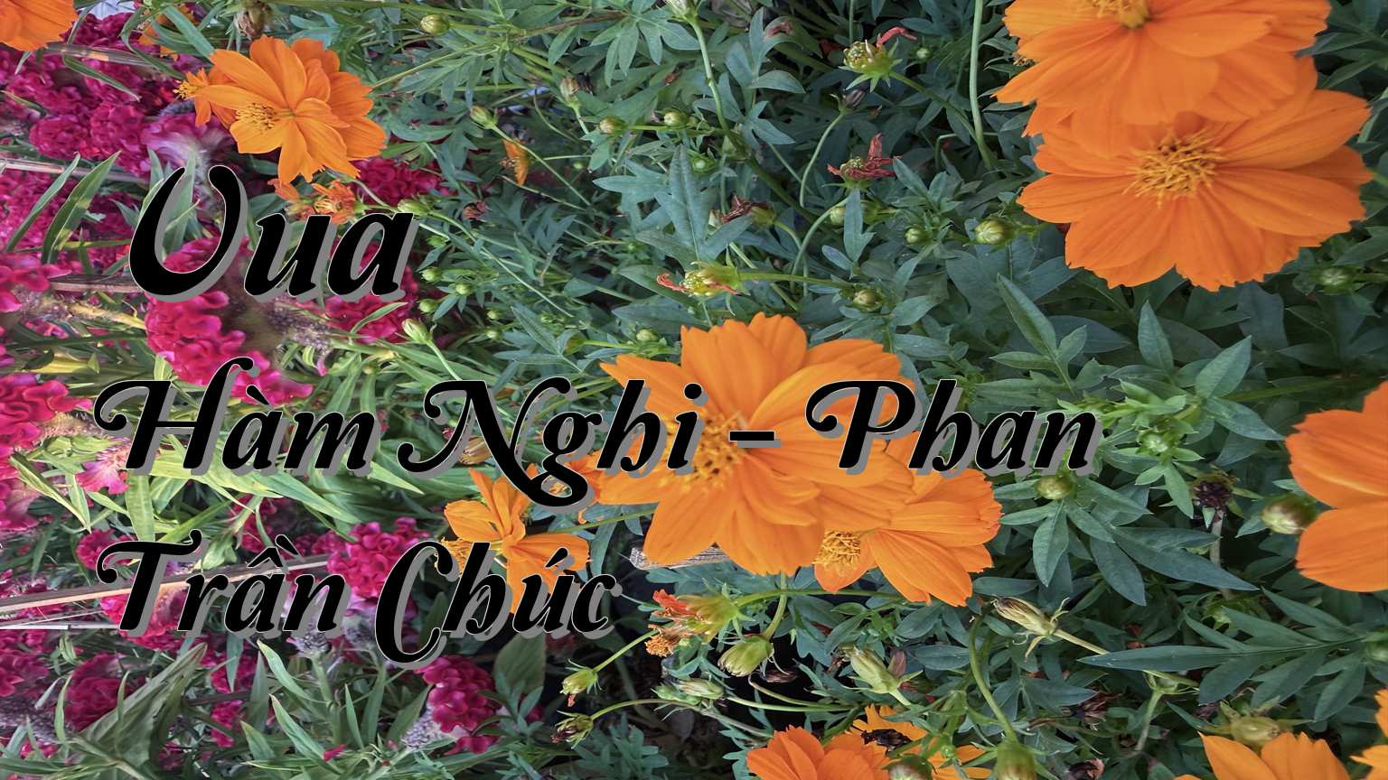 cover-Vua Hàm Nghi - Phan Trần Chúc