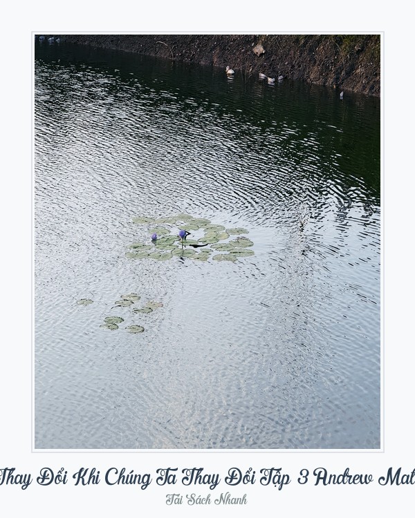 Bìa sách Đời Thay Đổi Khi Chúng Ta Thay Đổi Tập 3 Andrew Matthews