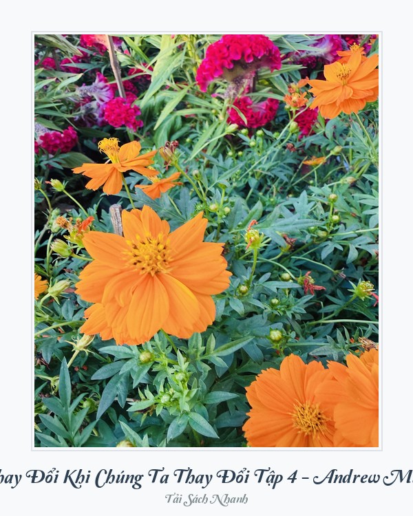 Bìa sách Đời Thay Đổi Khi Chúng Ta Thay Đổi Tập 4 - Andrew Matthews