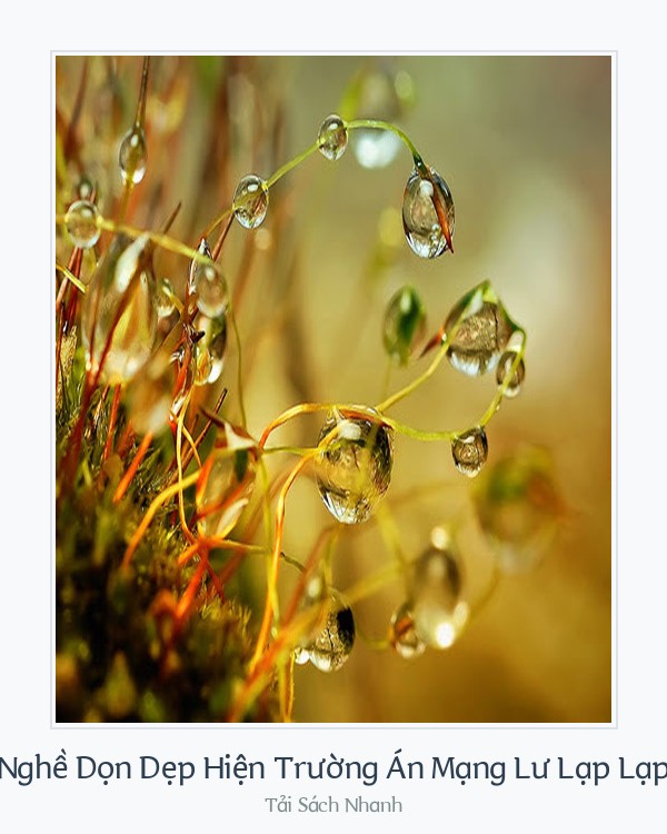 Bìa sách Nghề Dọn Dẹp Hiện Trường Án Mạng Lư Lạp Lạp