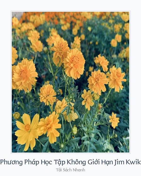 Bìa sách Phương Pháp Học Tập Không Giới Hạn Jim Kwik