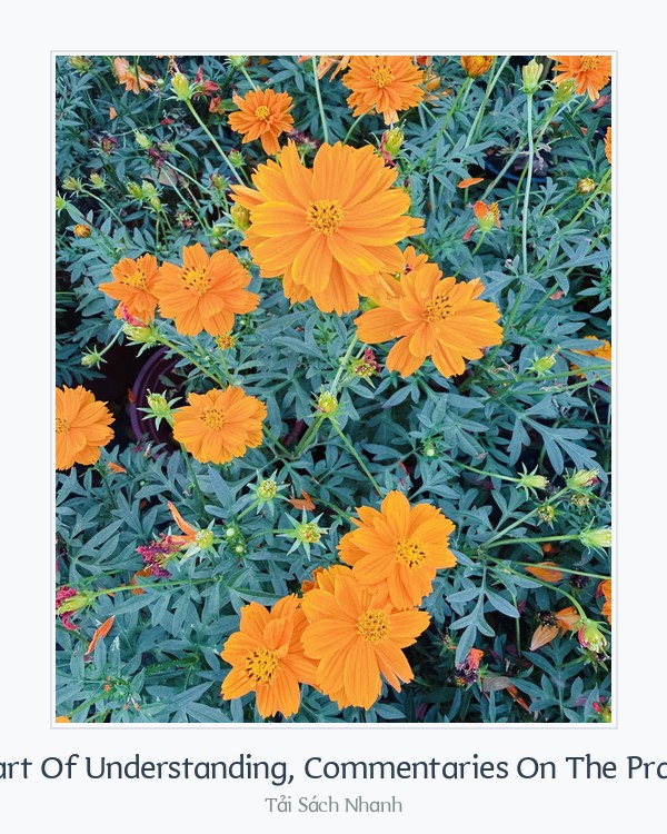 Bìa sách Thích Nhất Hạnh The Heart Of Understanding, Commentaries On The Prajnaparamita Heart Sutra