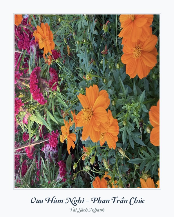 Bìa sách Vua Hàm Nghi - Phan Trần Chúc