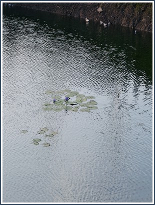 Bìa sách Đời Thay Đổi Khi Chúng Ta Thay Đổi Tập 3 Andrew Matthews