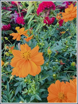 Bìa sách Đời Thay Đổi Khi Chúng Ta Thay Đổi Tập 4 - Andrew Matthews