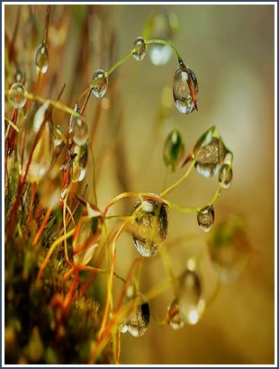 Bìa sách Nghề Dọn Dẹp Hiện Trường Án Mạng Lư Lạp Lạp